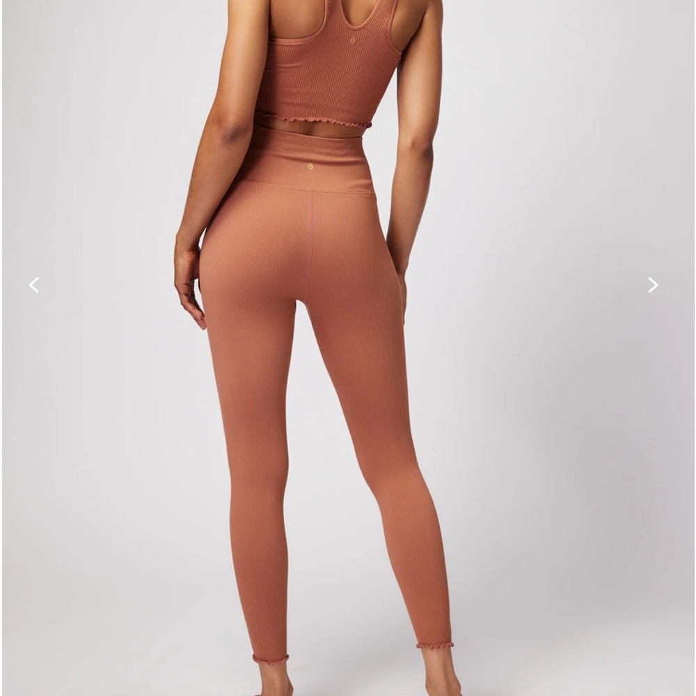 Lovesculpt seamless leggings